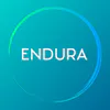 Endura Project Solutions logo
