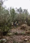 Members hard at it clearing scrub at RDL - Nov 21