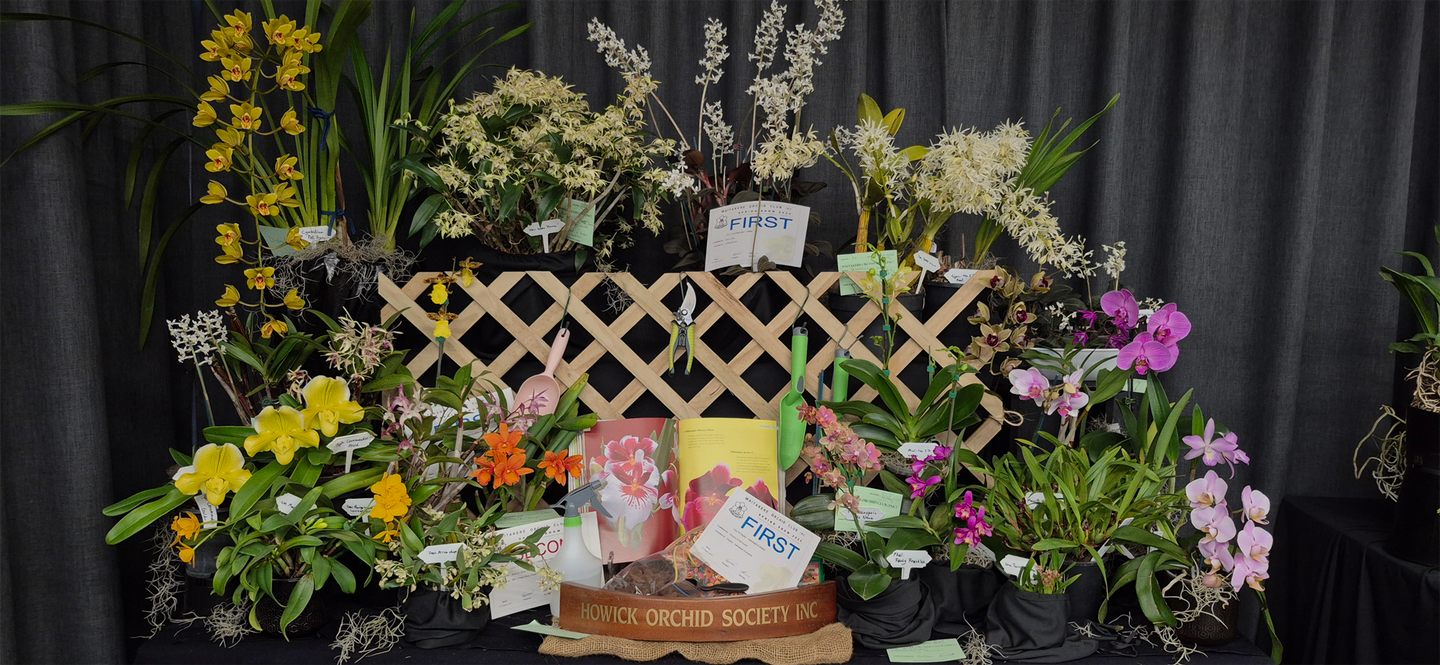 Howick Orchid Society Display at the Waitakere Orchid Society Show