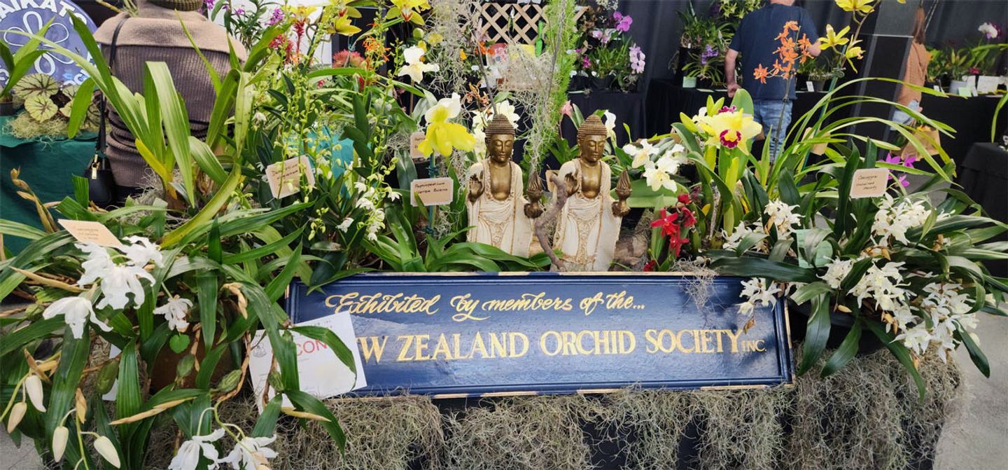 NZOS Orchid Display at Waitakere Orchid Society Show, Kelston 2025