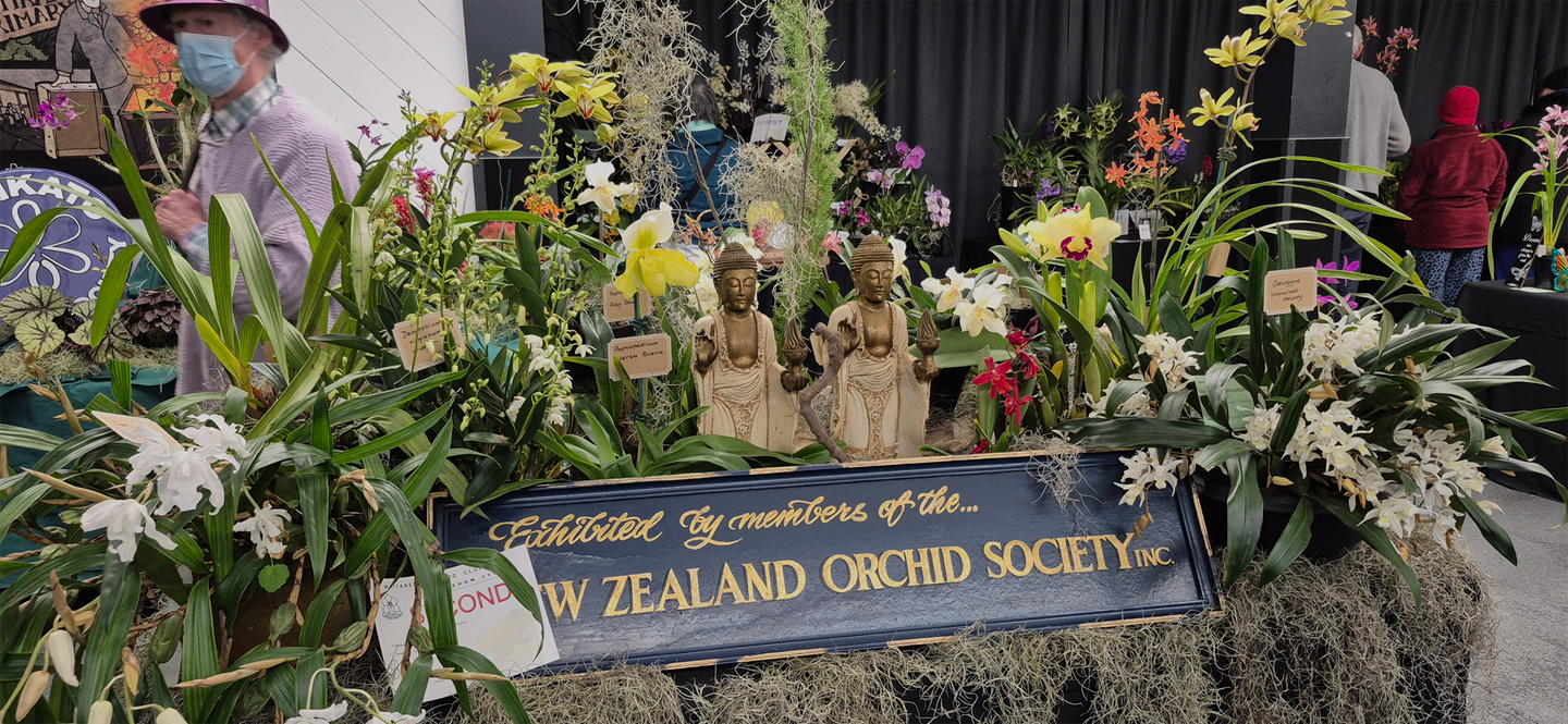 New Zealand Orchid Society display at the Waitakery Orchid Society Show