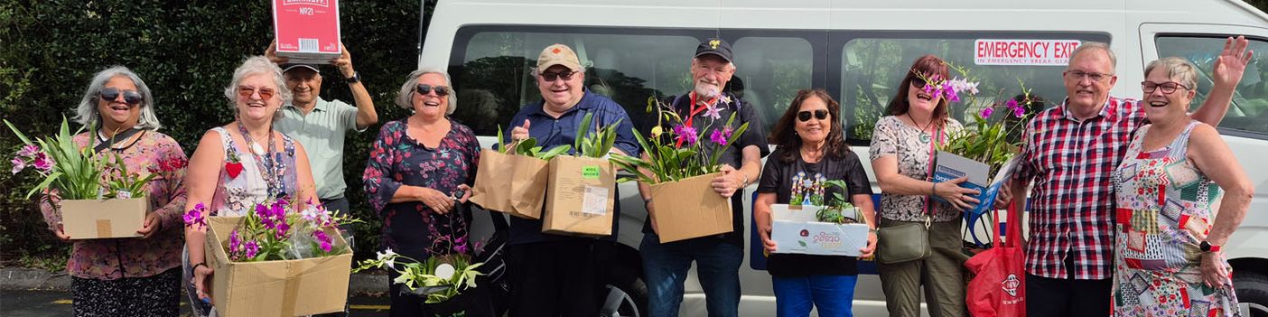 Our orchids purchased from the Society trip to Whangarei