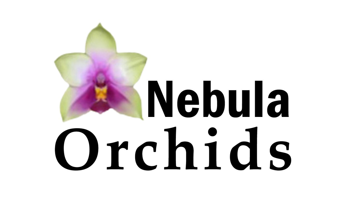 Nebula Orchids Website