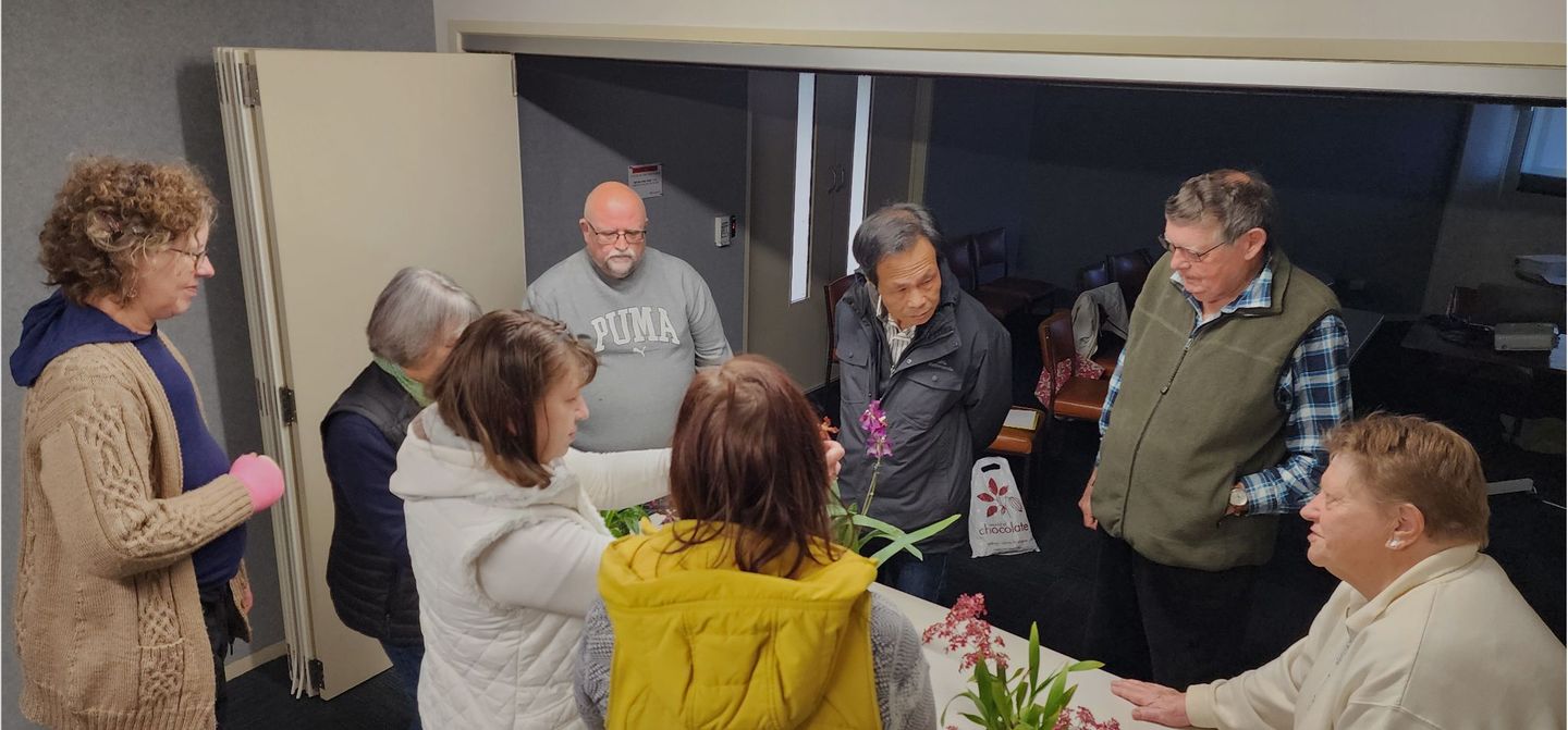 New Zealand Orchid Judges evaluating plants for awards
