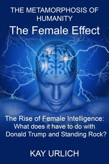 The Female Effect book by Kay Urlich