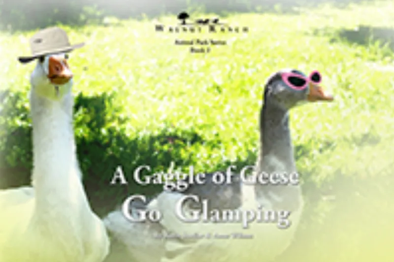 A Gaggle of Geese Go Glamping