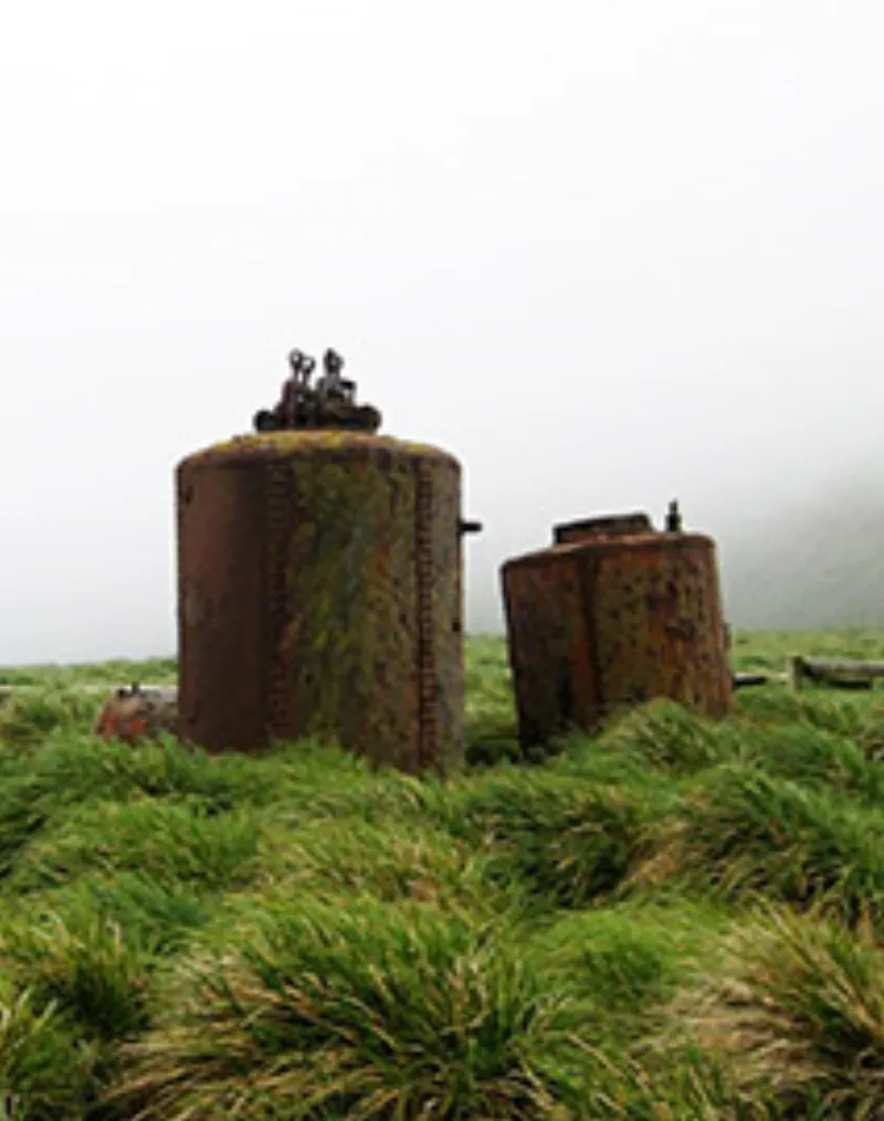 Antartic Trip Ron Perano