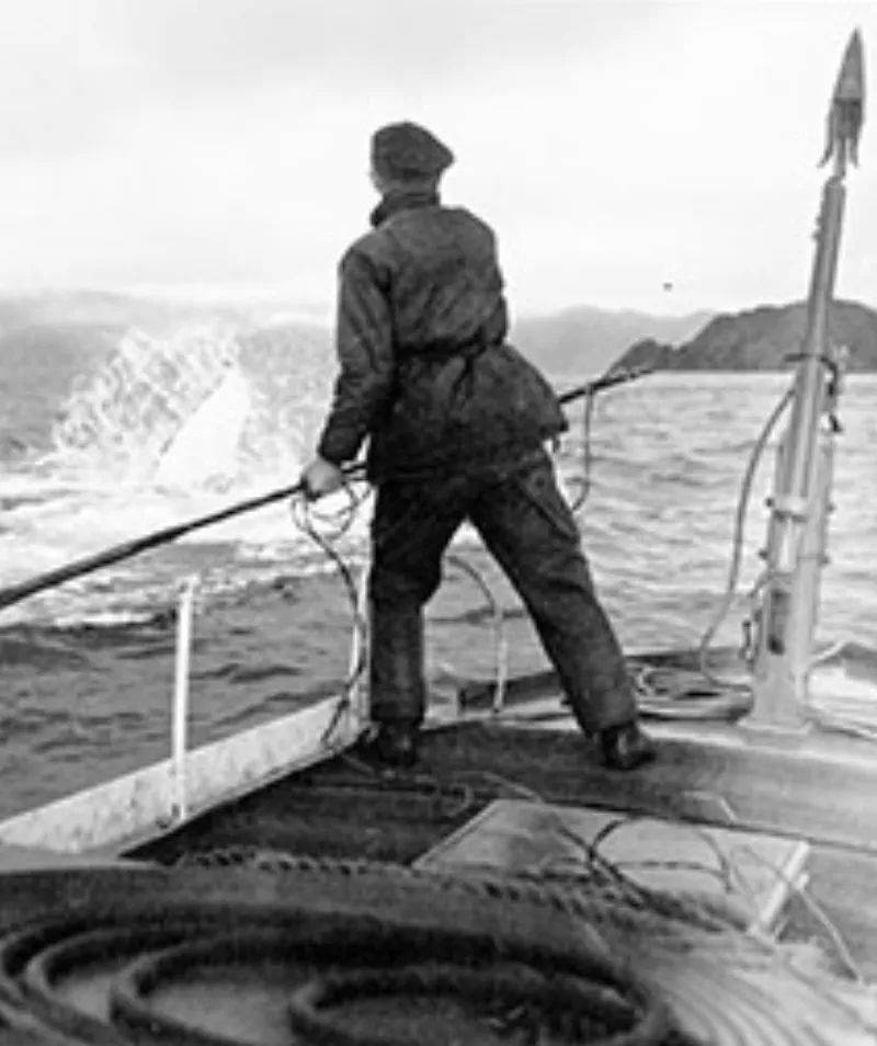 Old Whaling Ron Perano