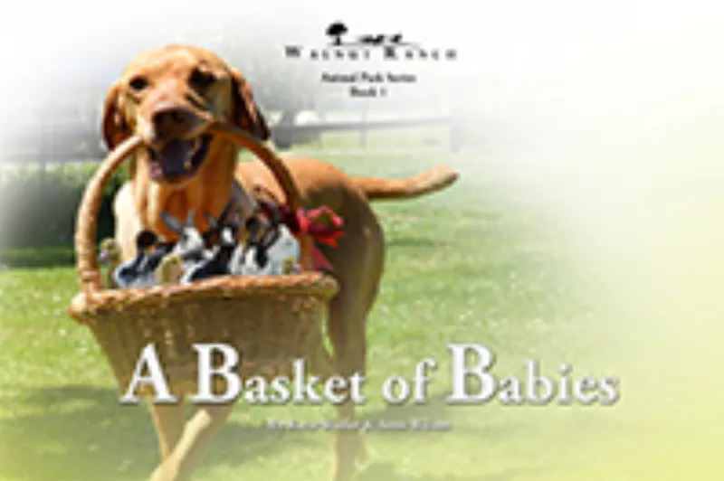 A Basket of Babies