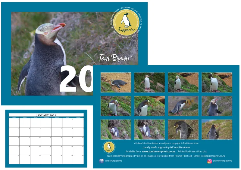 2021 Penguin Calendar