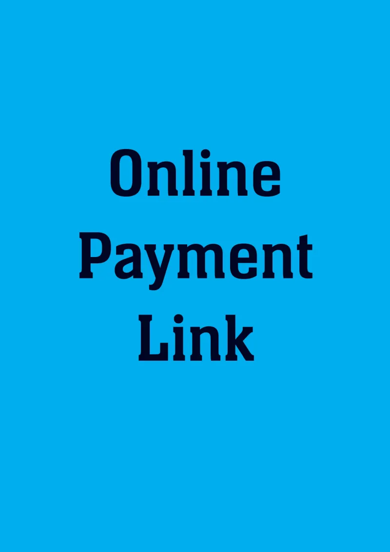 Online Payment