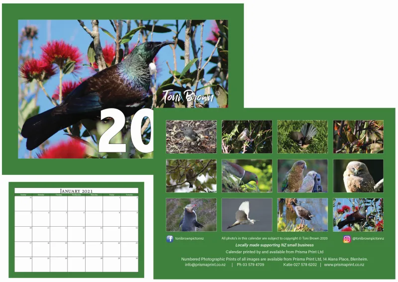 A close up view of beautiful bird photography in a calendar by Toni Brown