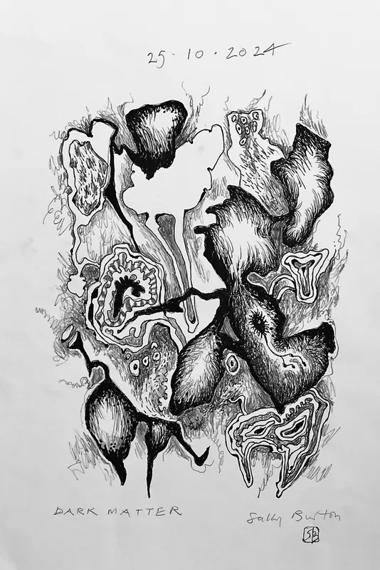 Sally Burton, 'Dark Matter' $400