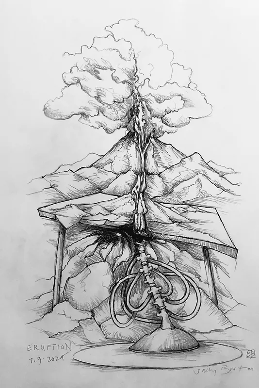 Sally Burton, Eruption, $400