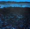 Audrey Anderson, 'First Matariki', $2,300