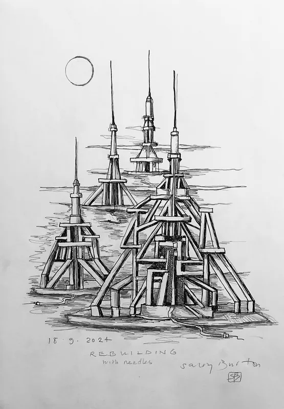 Sally Burton, Rebuilding with needles, $400