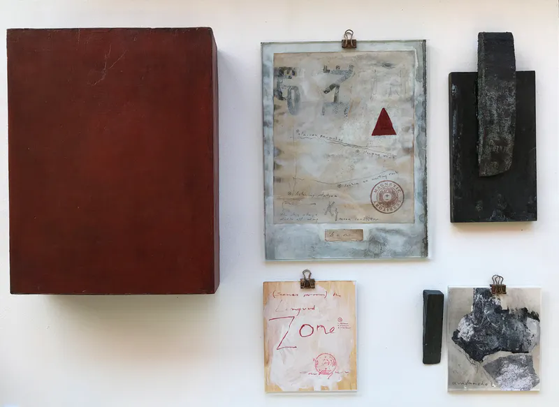 David Ryan, Scenes from the languid zone, installation, $1,800