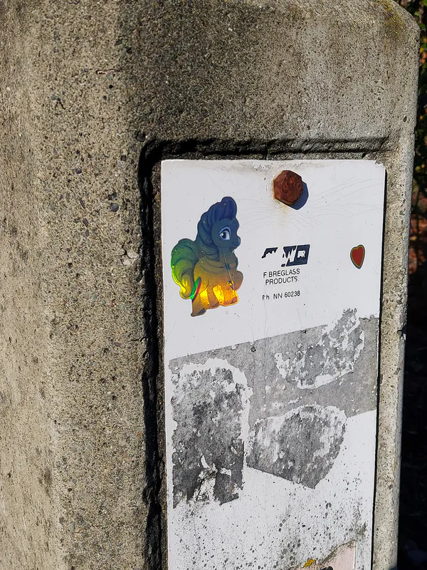 Tony Johnson, Pony on Fire