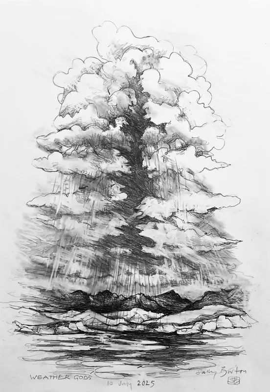 Sally Burton, Weather Gods, $400