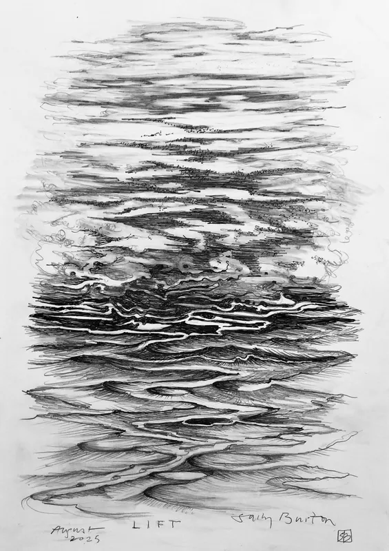 Sally Burton, 'Lift' $400