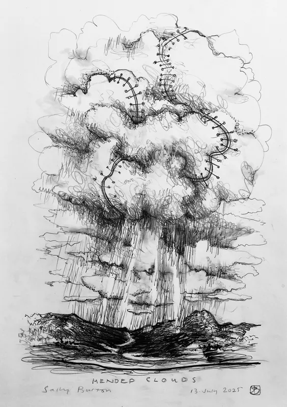 Sally Burton, Mended Clouds, $400