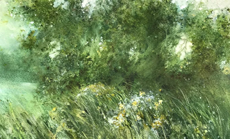 Samantha Clyne, Summer Meadow, watercolour & gouache, 280 x 170, $275 mounted
