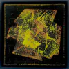 Works by Kathaleen Bartha