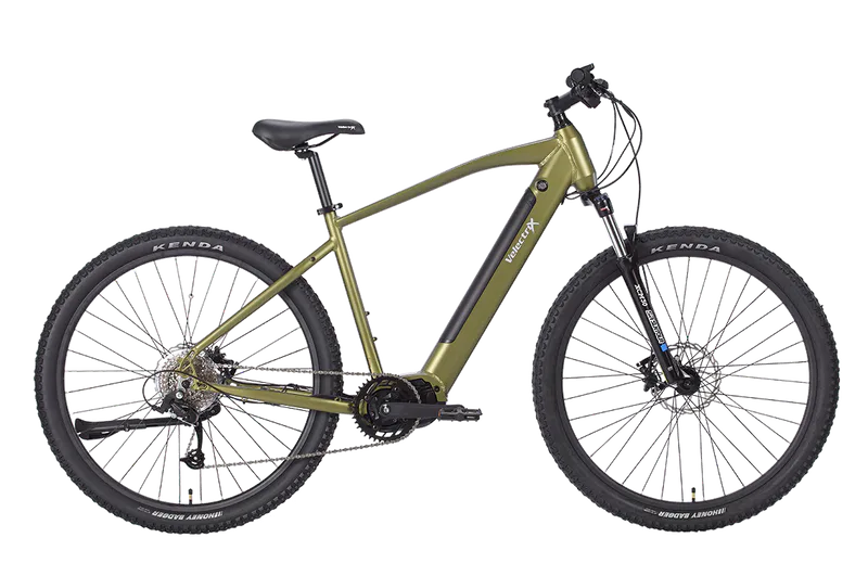Introducing the Ascent 29" Pulse electric bike