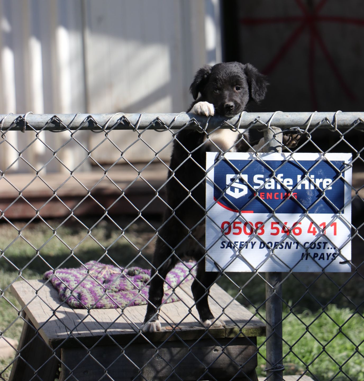 Temporary site fencing, Nelson, Marlborough, Westcoast