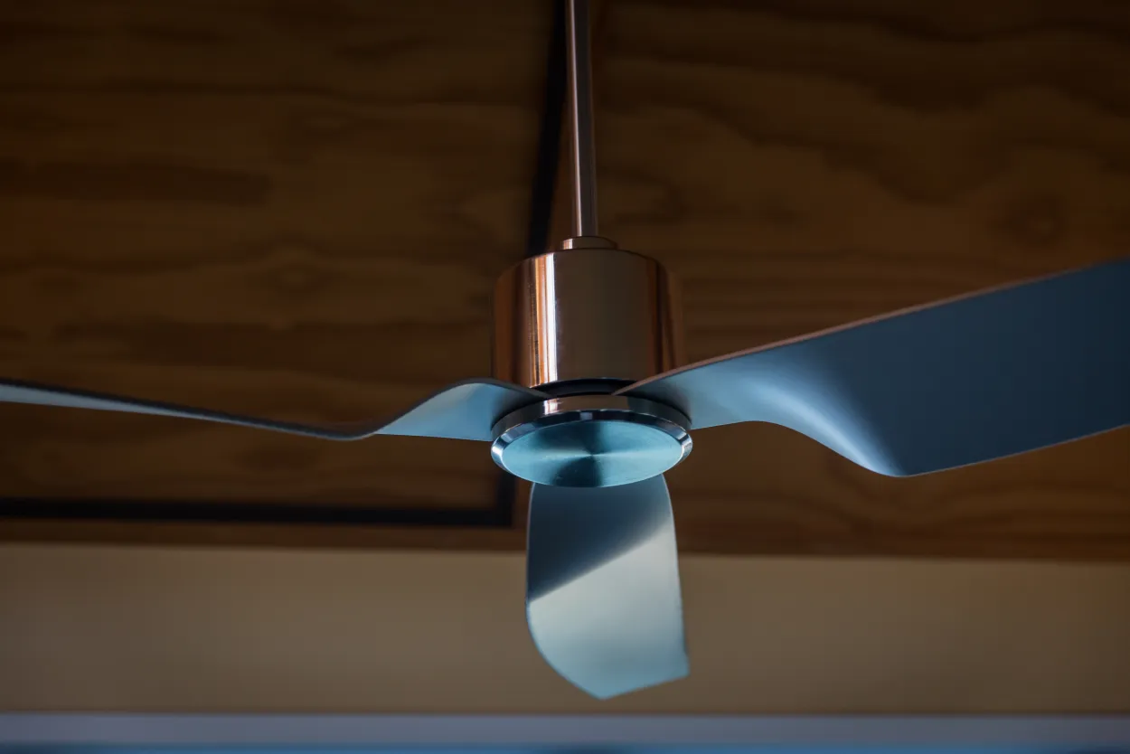Sleek and stylish ceiling fans installed