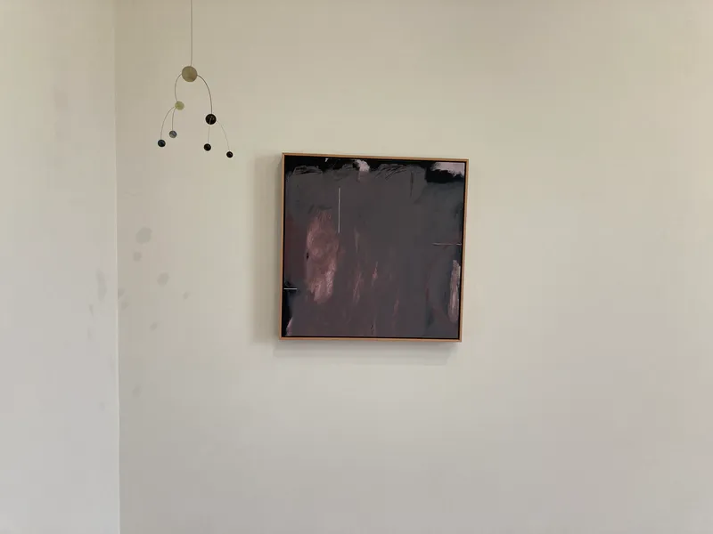 Installation view. Image by Susan Thomas