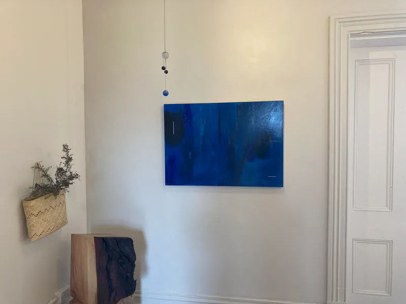 Installation view. Image by Susan Thomas