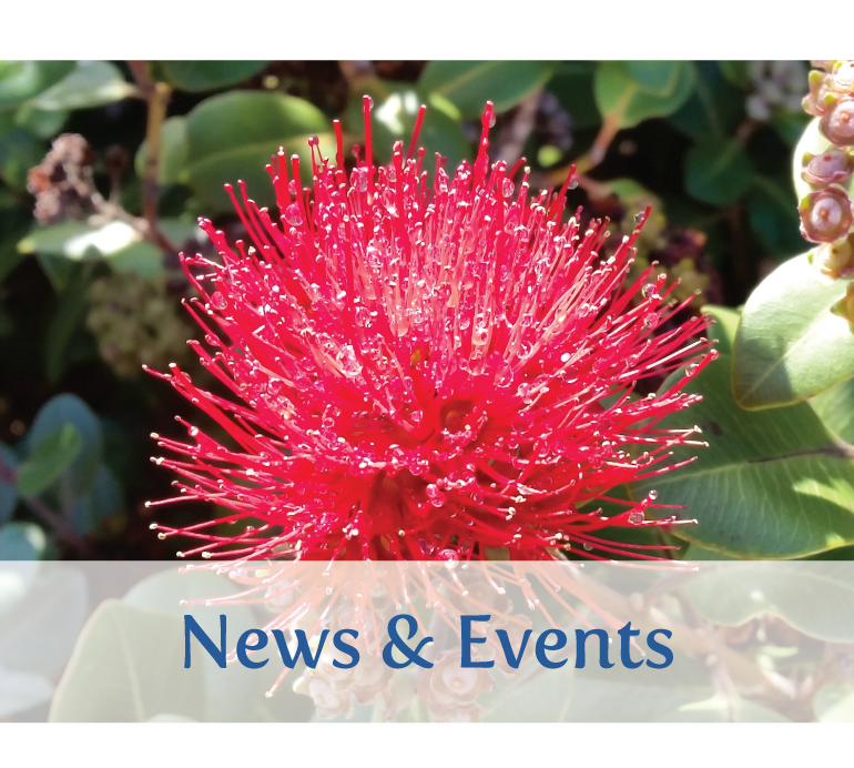 Te Korowai Trust Nelson News and Events in Whakatu