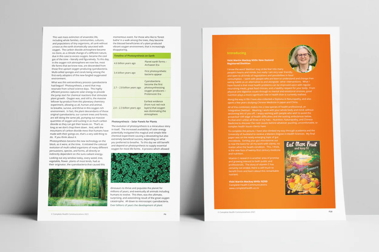 The Vit C Diaries Ebook