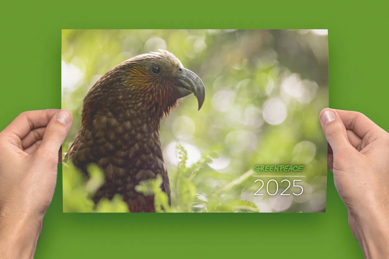 Greenpeace Calendar Cover 2025