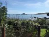 native gardens and Tauranga Bay