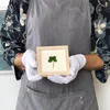 Framing for your special objects