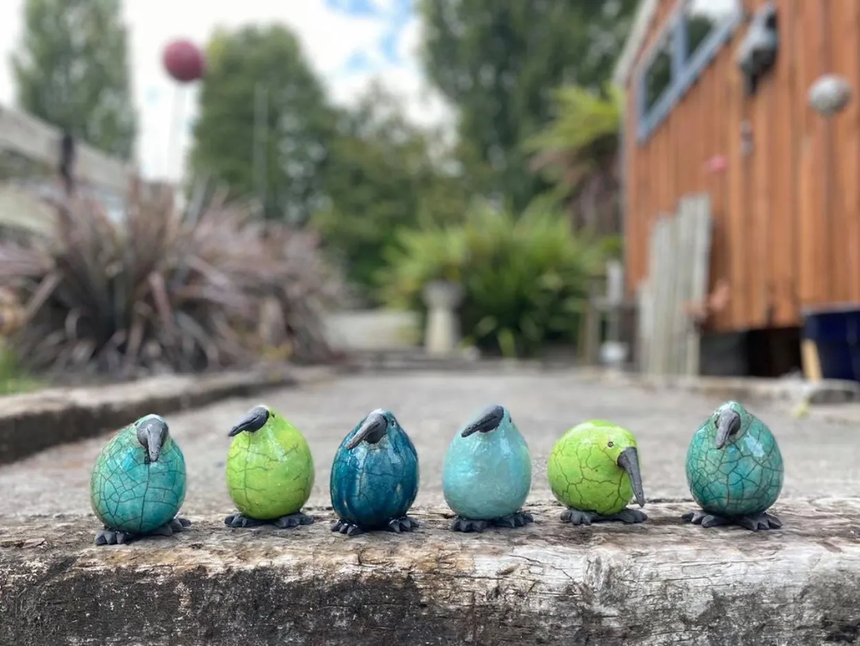 Raku Kiwis Assorted Colours