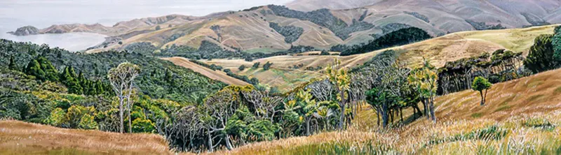 A landscape print of the road to Port Jackson by Artist Jane Galloway available at The Little Gallery in Tairua