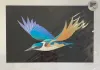 A fine art print of a swooping Kingfisher (Kotare) by New Zealand artist Glenn Jones, available at The Little Gallery Whangamata