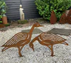 Original Rusted Corten Steel artworks of birds by New Zealand artist Heather Watt, available at The Little Gallery Whangamata