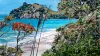 A Limited Edition fine art print of Hahei Beach in Summer by New Zealand artist Jane Galloway, available at The Little Gallery Whangamata