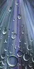 A beautiful real life painting of water droplets by Sue Foster, available at The Little Gallery Tairua