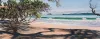 A Limited Edition fine art print of Pohutukawa shadows at Opito Bay by New Zealand artist Jane Galloway, available at The Little Gallery Tairua