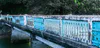 An artistic Limited Edition print of the Pepe Bridge with colour enhancing by Kate Hill, available at The Little Gallery Tairua