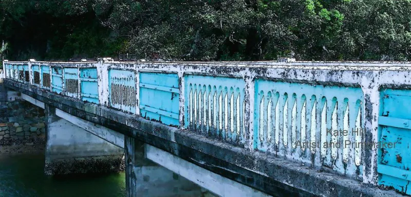 An artistic Limited Edition print of the Pepe Bridge with colour enhancing by Kate Hill, available at The Little Gallery Tairua
