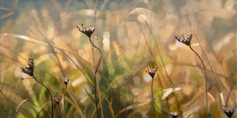 A print artwork of grasses with the sun on them by Artist Jane Galloway available at The Little Gallery in Whangamata
