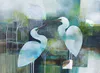An original Mixed Media abstract painting of Kotuku (NZ White Herons) by Julie Whyman, available at The Little Gallery Tairua