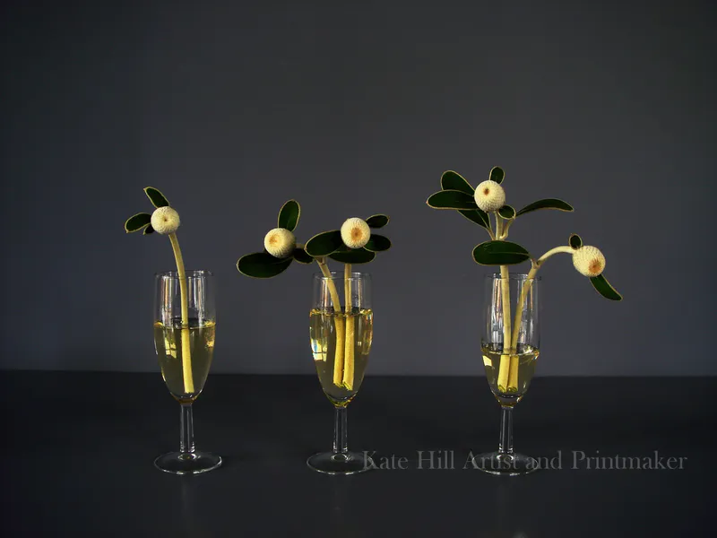 A fine art still life print of flowers in wine glasses by New Zealand artist Kate Hill, available at The Little Gallery Tairua