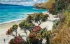 A Limited Edition fine art print of Otama Bay in Summer by New Zealand artist Jane Galloway, available at The Little Gallery Tairua
